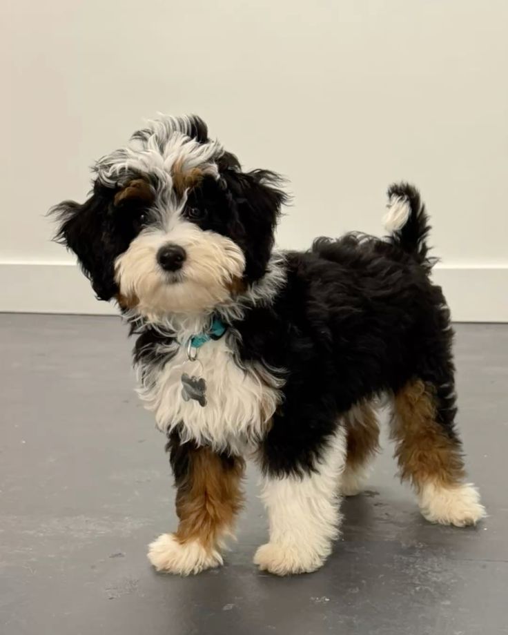Ben